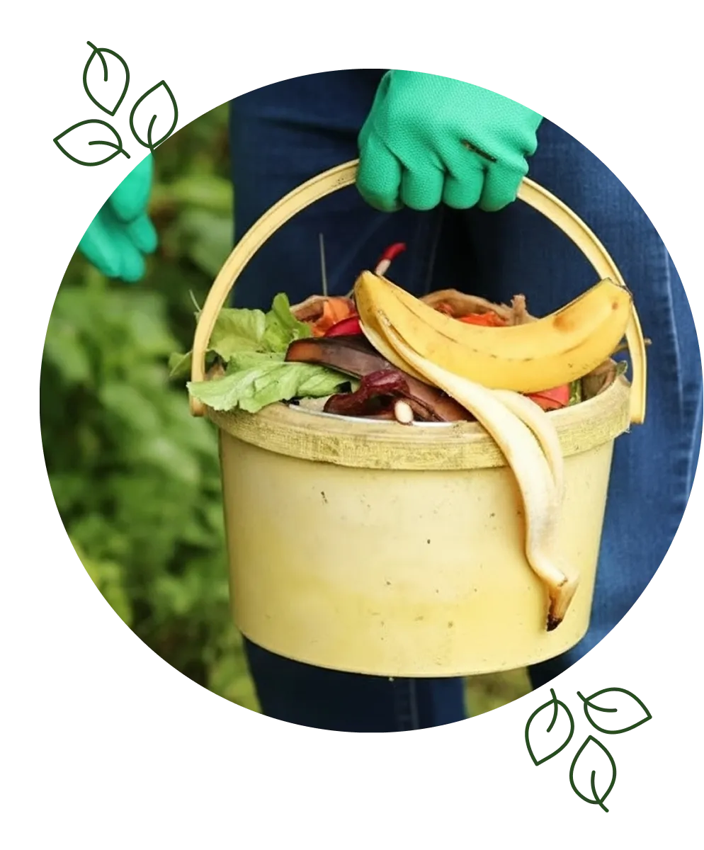 Division de procesos (1)