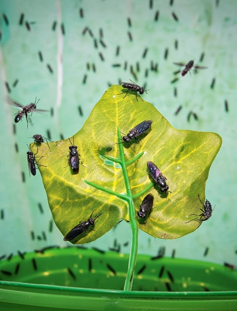 Sobre nosotros 1 (1)