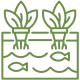 acuaponia icon