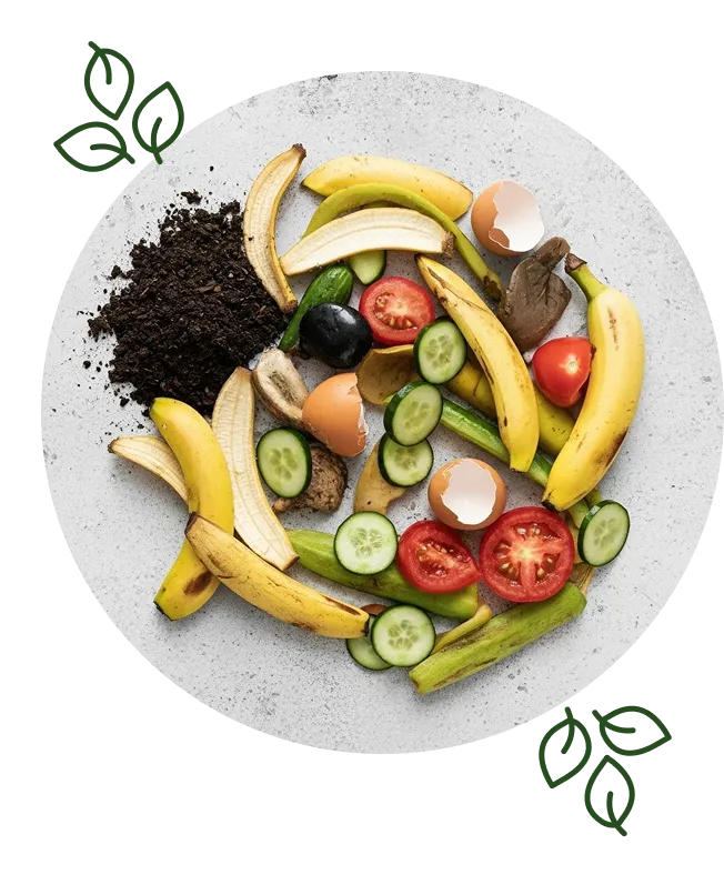 division de procesos